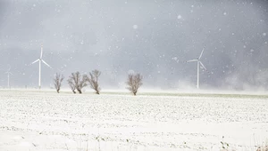 Eksperci sektora energetyki odnawialnej negatywnie oceniają nowelizację tzw. ustawy wiatrakowej 