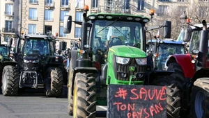 Rolnicy w traktorach protestują przeciwko ograniczeniom stosowania pestycydów