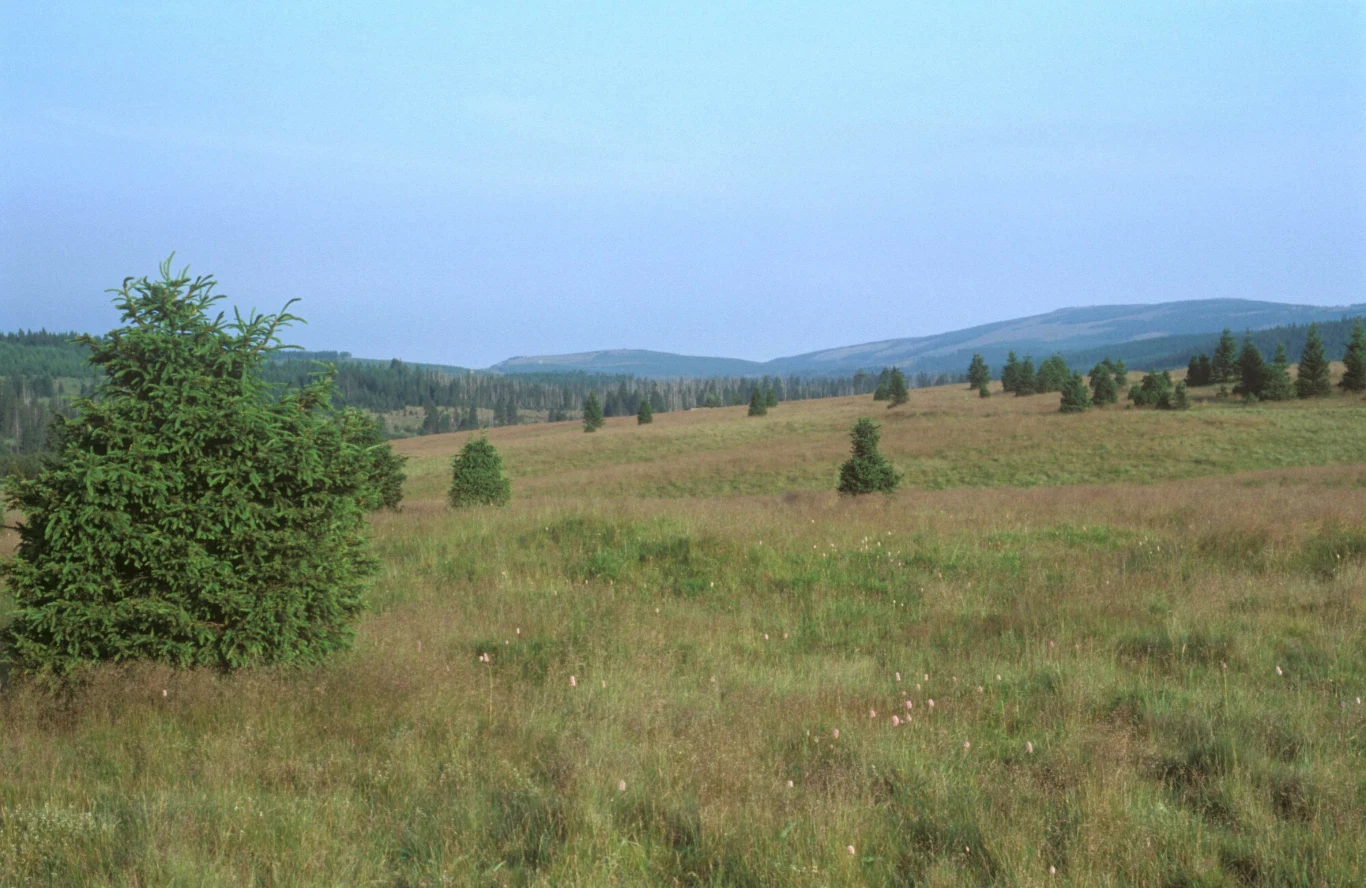 Hala Izerska nazywana jest "małą Syberią". 