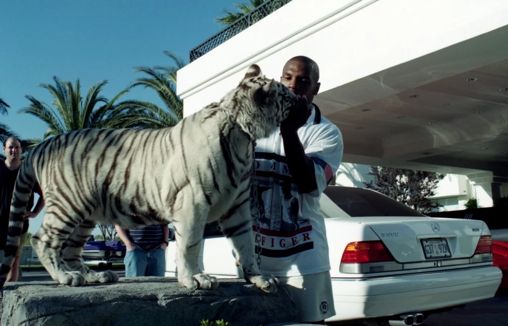 Mike Tyson posiadał w sumie trzy białe tygrysy. Najdłużej żyła z nim samica o imieniu Kenya. Spędzili razem 16 lat