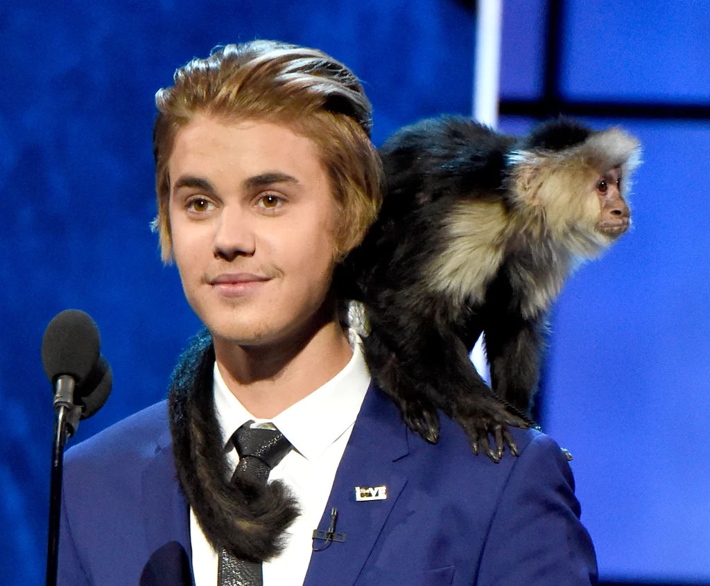 Małpka kapucynka została odebrana Justinowi Bieberowi na lotnisku w Niemczech. Piosenkarz nie miał dokumentów, które pozwalały na przewóz egzotycznego zwierzęcia