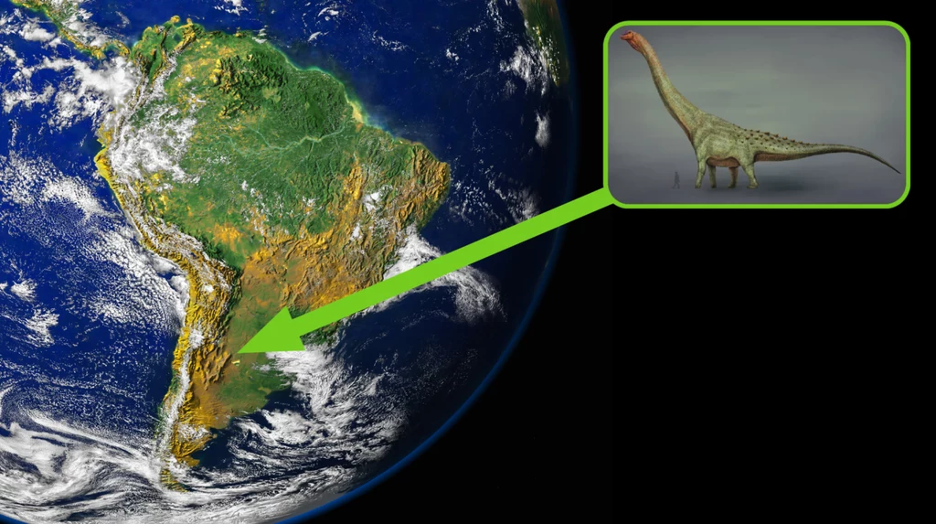 W Argentynie naukowcy odkryli kości mierzące około 1,9 m długości. Należą do nowego gatunku
