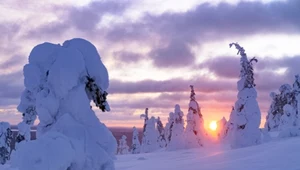 Zima w Polsce zaczęła się 1 grudnia. Ta meteorologiczna