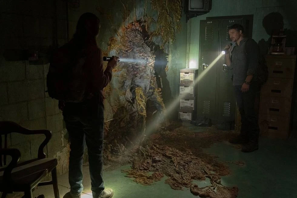 Wiele osób po obejrzeniu "The Last of Us" zastanawia się, czy grzyb zombie z serialu może naprawdę nas zaatakować. Naukowcy są co do tego jednomyślni 