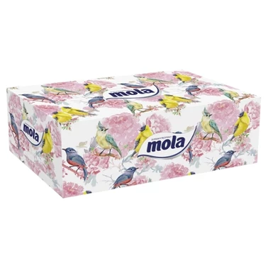 Mola Family Box chusteczki kosmetyczne 2-warstwowe 150 sztuk - 2