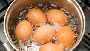 Od czego zależy kolor skorupki jajka? Białe czy brązowe - które są zdrowsze?
