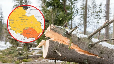 Do Polski zbliżają się potężne wichury. Prędkość wiatru może przekroczyć 120 km/h. Gdzie będzie niebezpiecznie?