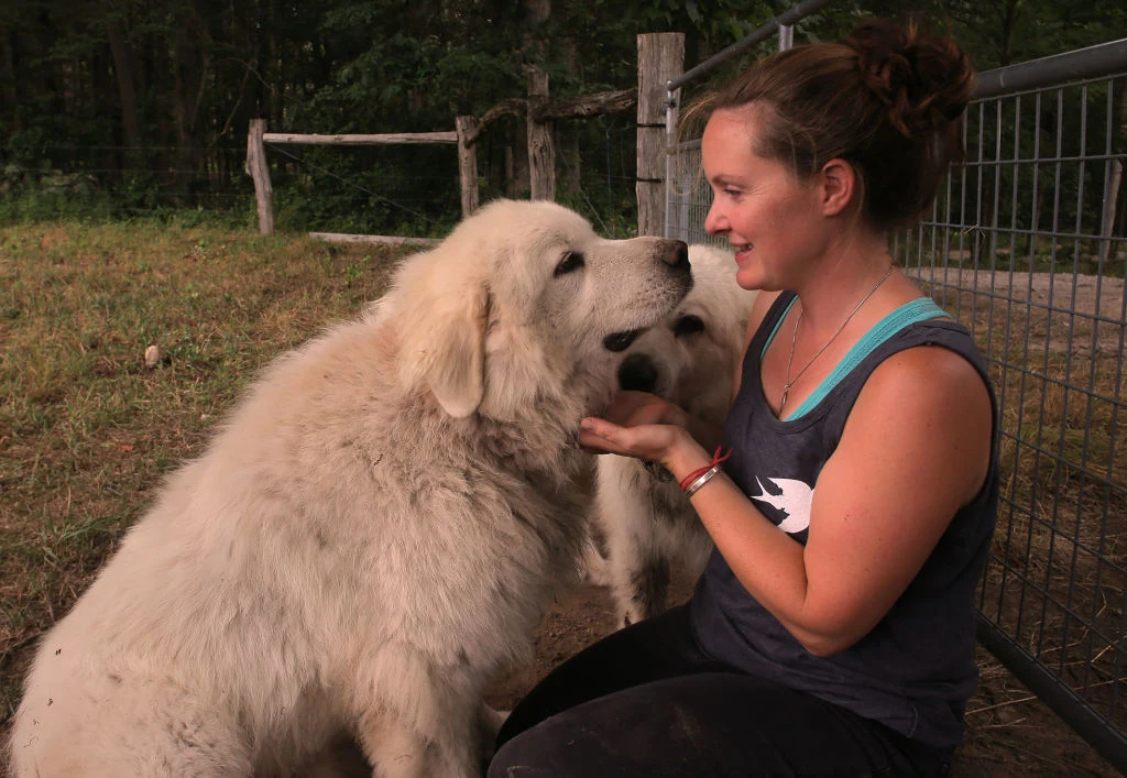 Miłość międzygatunkowa czy zależność?