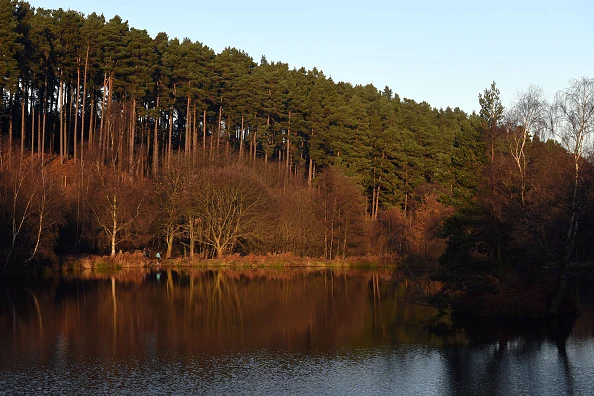 Okolice Channock Chase Okolice Channock Chase