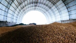 Dopłaty dla rolników będą wynosić od 150 zł do 250 zł za tonę zależnie od regionu