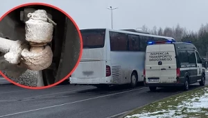 Autokar z serią usterek i podstawiony transport zastępczy podczas kontroli w okolicach Radomia