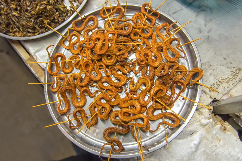 Potrawy z węży są szczególnie popularne w Wietnamie. Najczęściej występują w smażonej lub grillowanej formie 