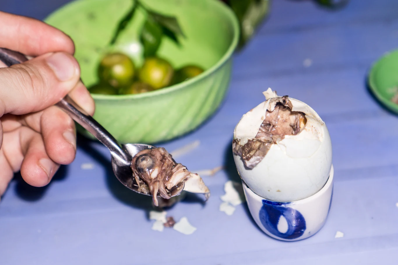 Balut, czyli gotowanie kacze jajo z zarodkiem w środku to przysmak dla osób o mocnych nerwach Balut, czyli gotowanie kacze jajo z zarodkiem w środku to przysmak dla osób o mocnych nerwach