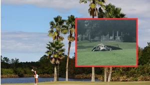 Na polu golfowym zauważono ogromnego aligatora