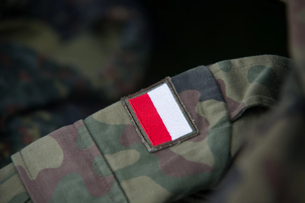 Wielkość Polskiego Legionu Ochotniczego zależy przede wszystkim od liczby odpowiednich rekrutów. W niedalekiej przyszłości ma zostać udostępnniona infolinia dla ochotników w Polsce