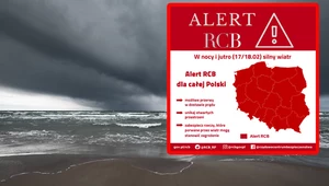 Alert RCB. Wszyscy dostaną ważny SMS. Silny wiatr w całej Polsce