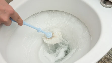 Czysta, lśniąca toaleta to wizytówka domu. Wystarczą dwa składniki, by była jak nowa. 