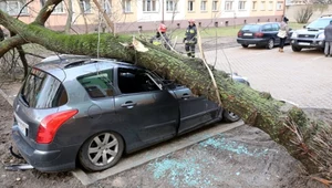 Orkan Otto nad Polską spowodował już wiele zniszczeń