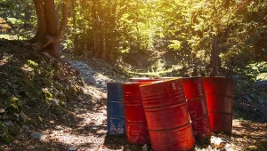 Straż leśna znalazła 65 pojemników z nieustaloną substancją/ zdj. ilustracyjne