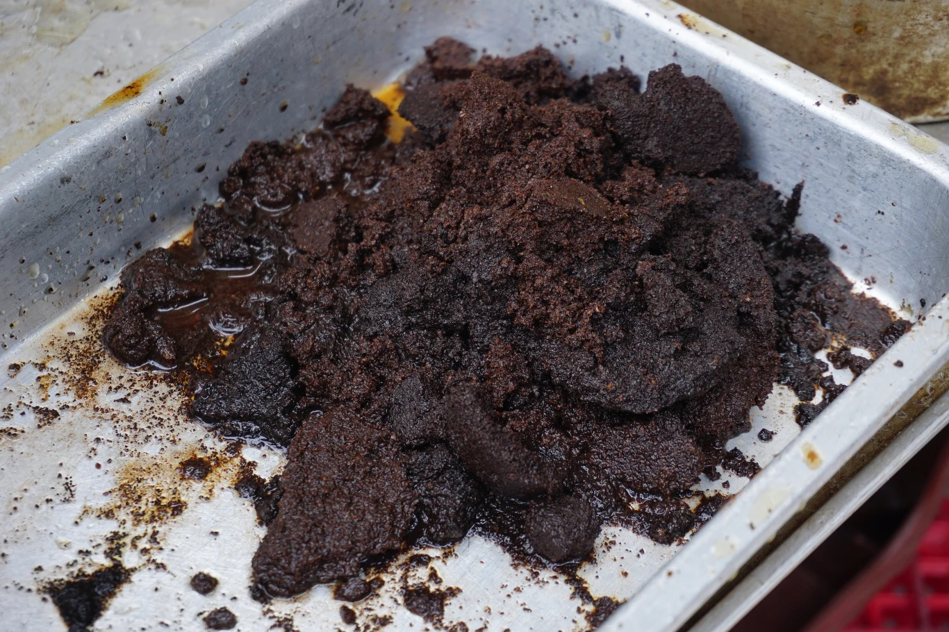 Fusy po kawie można bezpośrednio wysypać na ziemię lub też przygotować z nich preparat do podlewania Fusy po kawie można bezpośrednio wysypać na ziemię lub też przygotować z nich preparat do podlewania