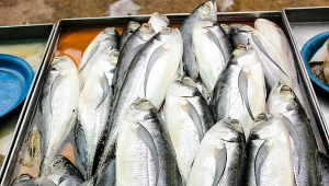 Lisner należy do niemieckiego koncernu spożywczego UTM