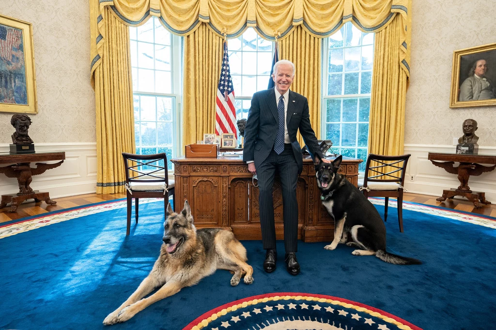 Niewiele osób wie, że Joe Biden to ogromny miłośnik psów. Prezydent USA kocha przede wszystkim owczarki niemieckie
