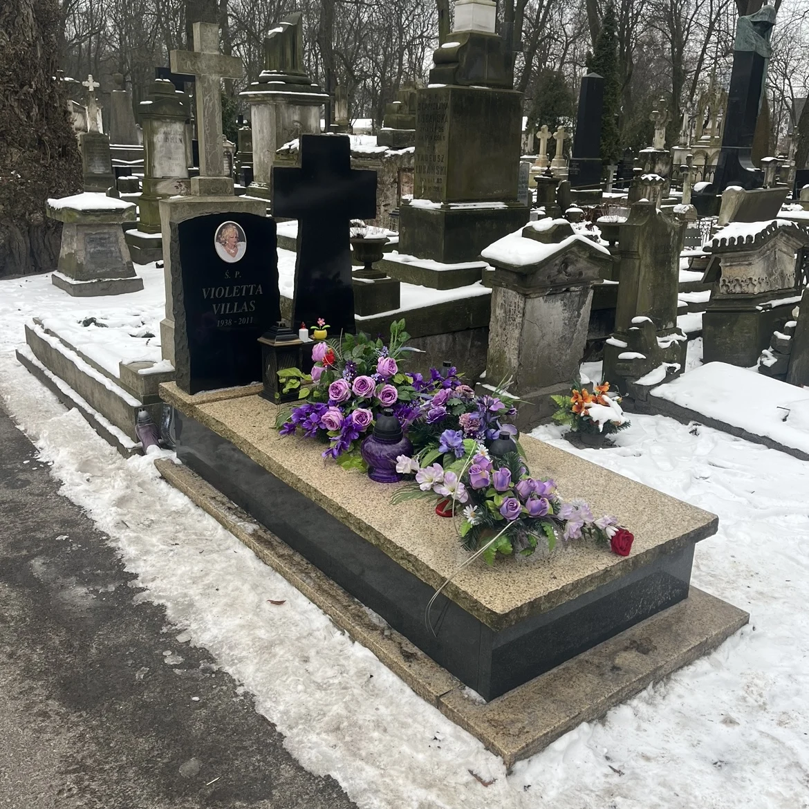 Violetta Villas