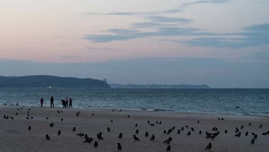 Plaża w Gdańsku zamknięta. Saperzy wydobywają bomby leżące na dnie Bałtyku