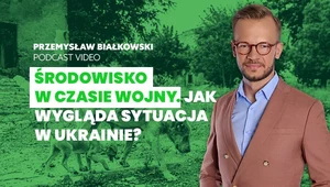 Przyroda pod ostrzałem. Jak wygląda stan środowiska w Ukrainie?