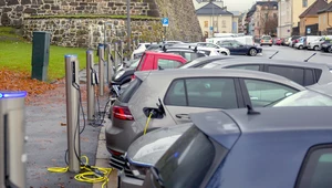 Norweskie parkingi to w zasadzie stacje ładowania samochodów elektrycznych. Ale nagle rynek się załamał