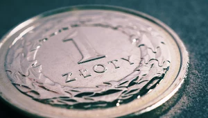 Nieudany sierpień złotego. Za słabo walczymy z inflacją