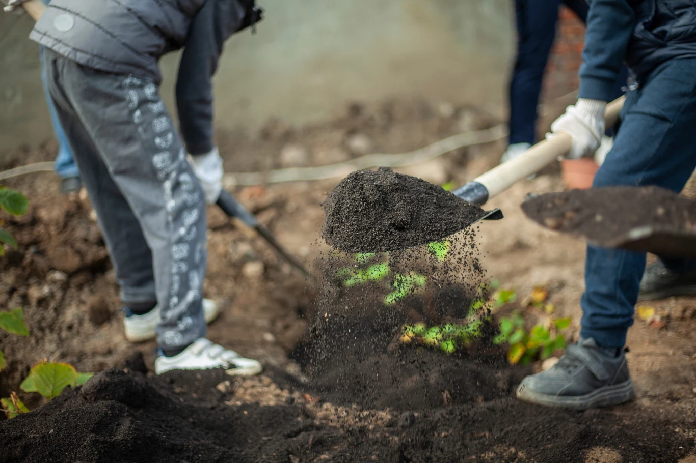 Przekopanie ogródka to kluczowy zabieg na wiosnę