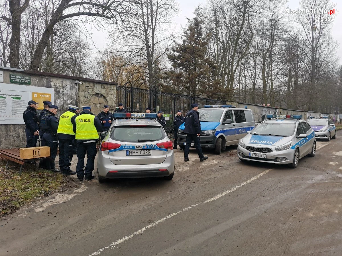 Policjanci z Chorzowa musieli zabezpieczyć teren zoo oraz pobliskiego Parku Śląskiego