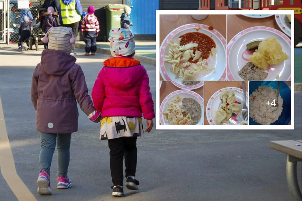 Nieapetyczne dania serwowane dzieciom w przedszkolu w Międzyborzu wywołały burzę w internecie 
