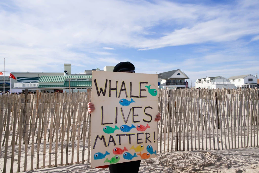 Chłopiec trzyma w rękach transparent w obronie wielorybów