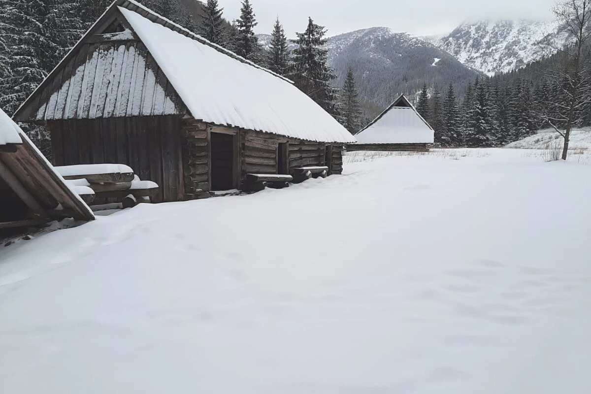 Na Halę Gąsienicową można dotrzeć kilkoma szlakami