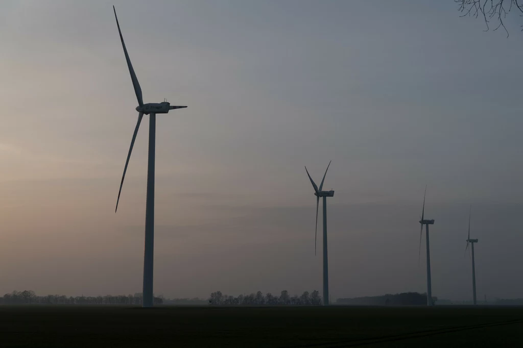 Biznes chce rozwoju czystej energii w Polsce