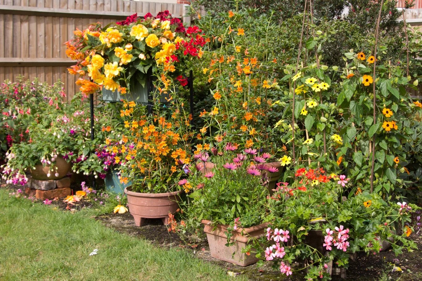 Niektóre odmiany roślin, zwłaszcza te odporne na zmiany temperatury warto posadzić już w marcu 