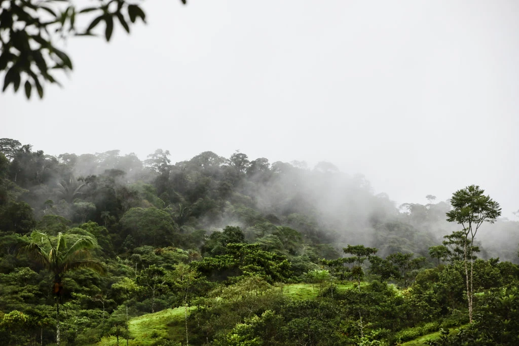 Amazonia mierzy się z ogromnymi problemami środowiskowymi Amazonia mierzy się z ogromnymi problemami środowiskowymi