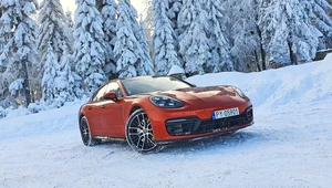 Porsche Panamera 4 E-Hybrid Platinum Edition