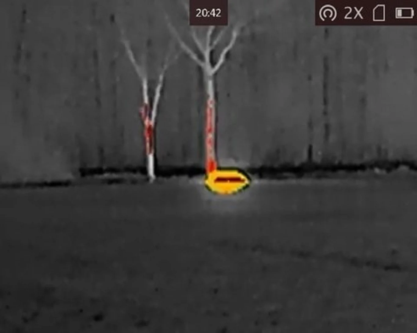 Obiekt UFO wydawał z siebie niski, buczący dźwięk. - Przypominał dźwięk z transformatora - opowiadał świadek. / zdjęcie: Fundacja Nautilus Obiekt UFO wydawał z siebie niski, buczący dźwięk. - Przypominał dźwięk z transformatora - opowiadał świadek. / zdjęcie: Fundacja Nautilus