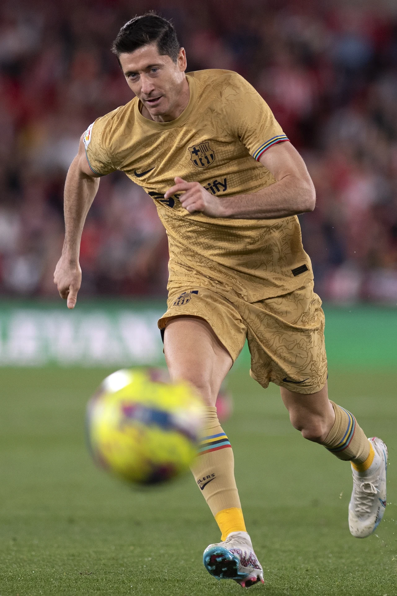 Robert Lewandowski Robert Lewandowski