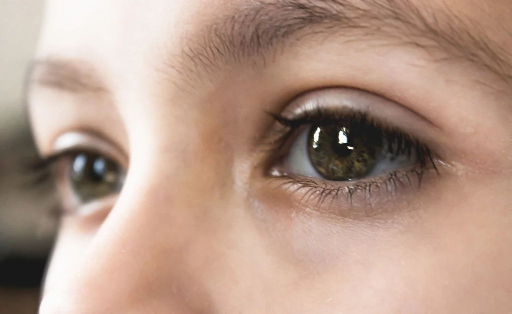 Związki obecne w cukinii dbają o zdrowie oczu