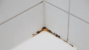 Czarne plamy na silikonie 