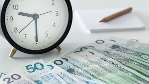 Złoty w poniedziałek po południu zyskał do głównych walut