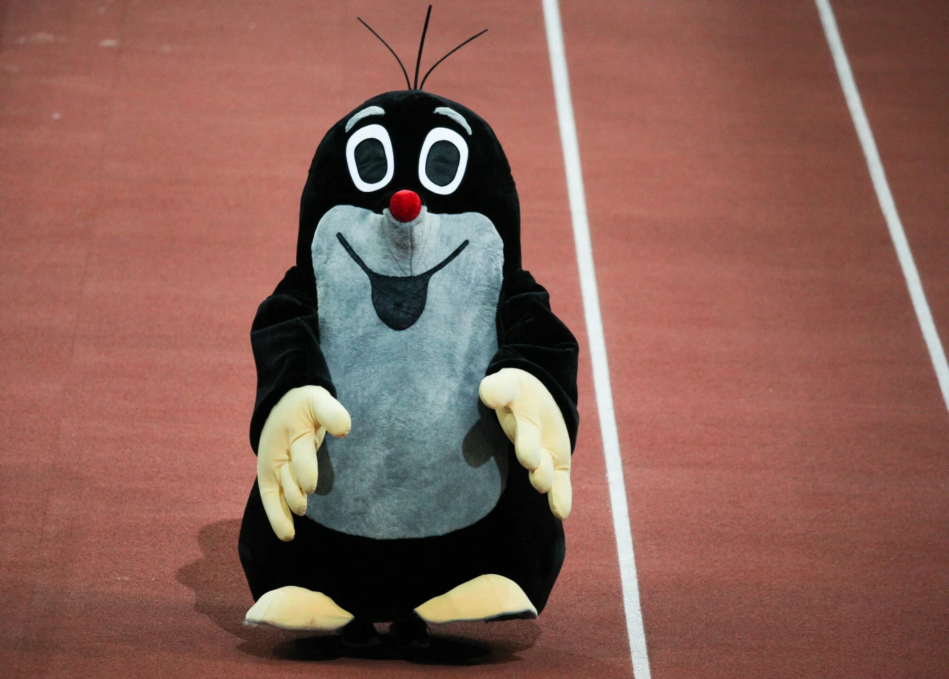 Krecik - czeski ulubieniec polskich dzieci Krecik - czeski ulubieniec polskich dzieci