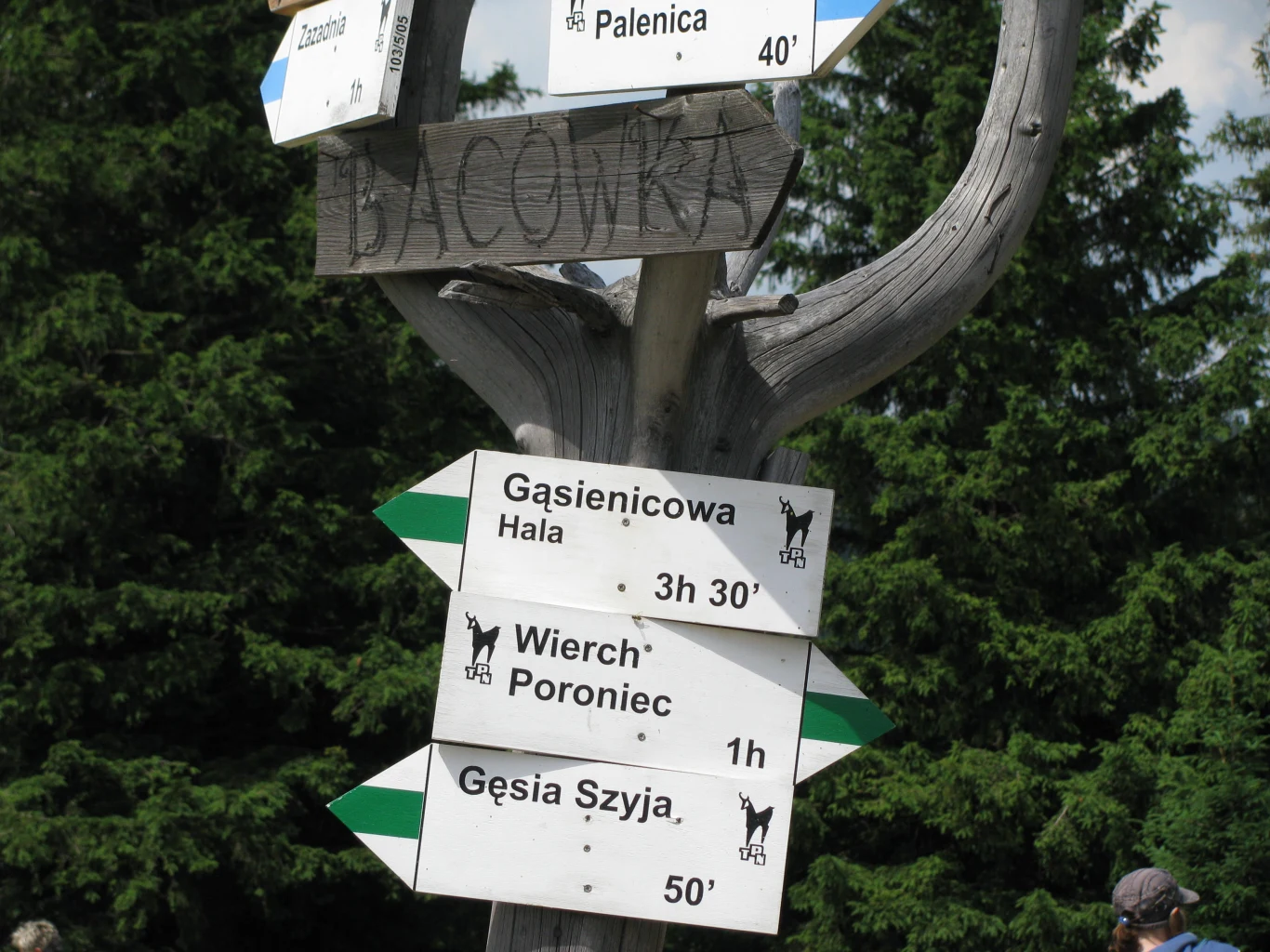 Polacy kochają Tatry Polacy kochają Tatry