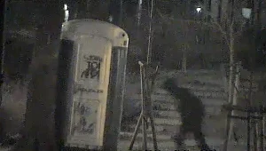 Starcie mieszkańca Olsztynka z Toi Toi'em zarejestrował monitoring