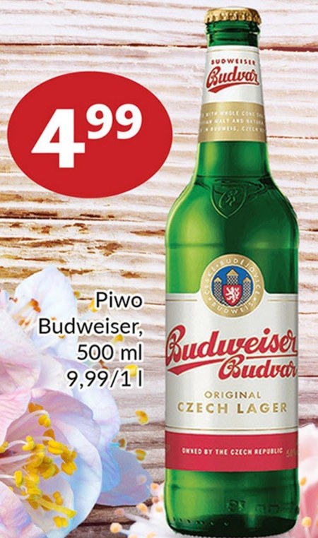 Piwo Budweiser Promocja Prim Market Ding Pl