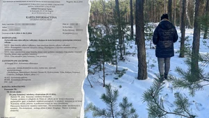 Ilonie - w wyniku przestępstwa z użyciem ostrego narzędzia - wyłoniono stomię